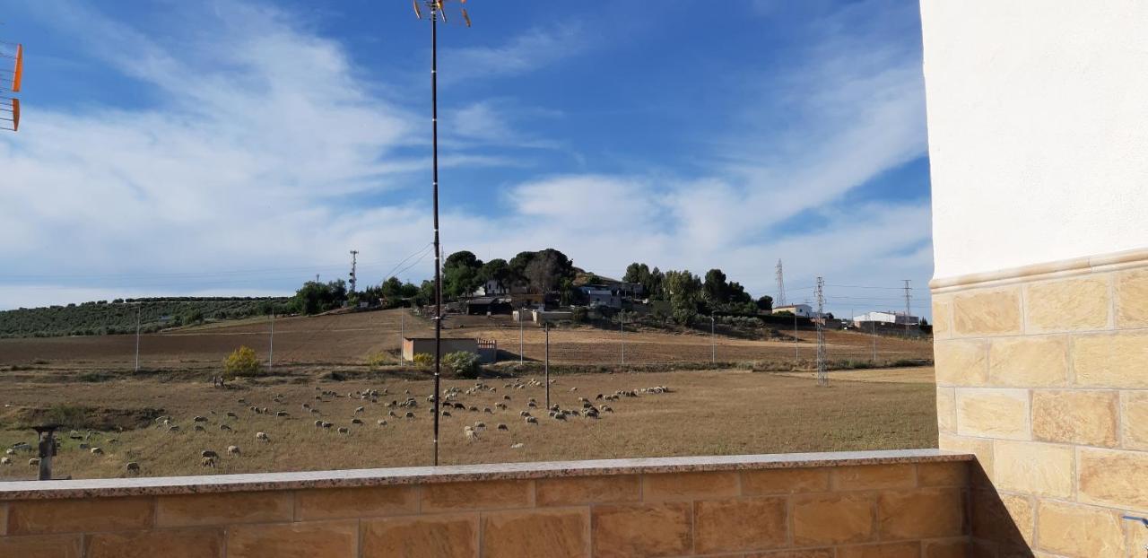 Piso La Buganvilla Bailén Εξωτερικό φωτογραφία